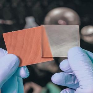 Transparent Wood