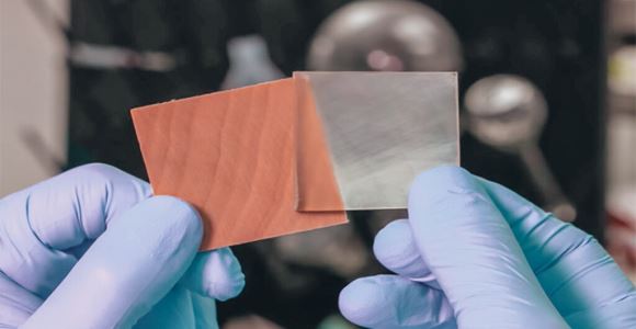 Transparent Wood