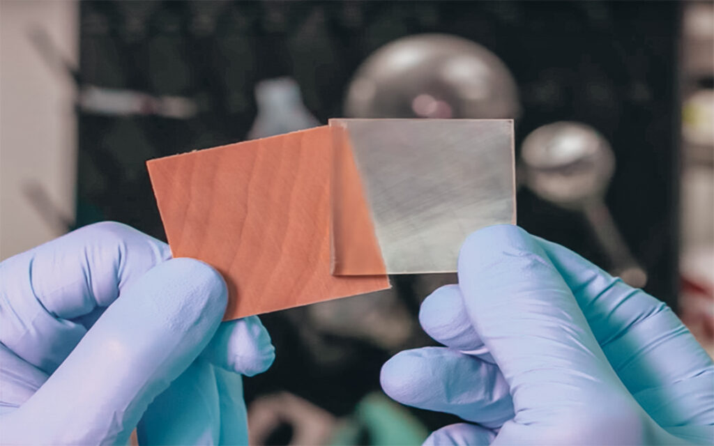 Transparent Wood