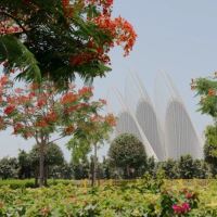 Zayed National Museum: 